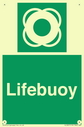 lifebuoy-with-symbol~